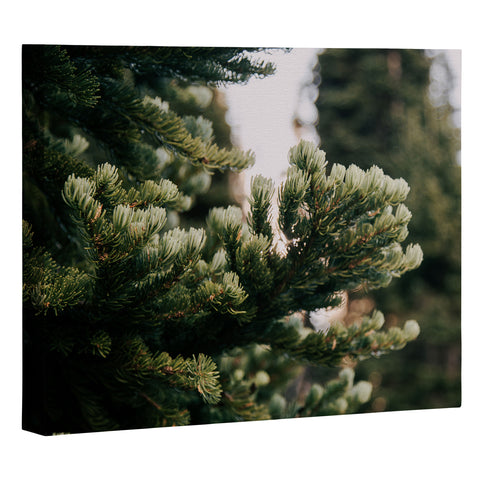 Hannah Kemp Small Details Art Canvas