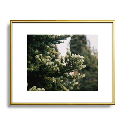 Hannah Kemp Small Details Metal Framed Art Print