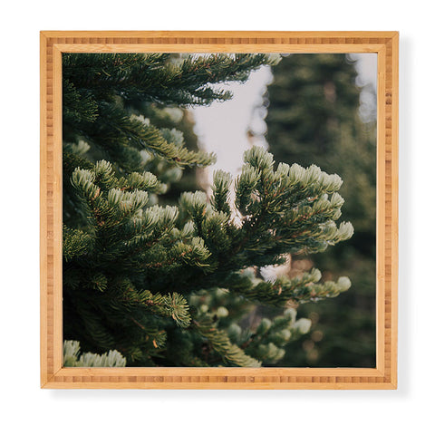 Hannah Kemp Small Details Framed Wall Art