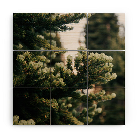 Hannah Kemp Small Details Wood Wall Mural