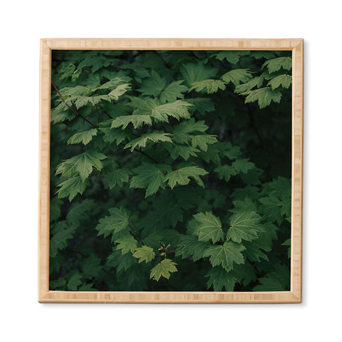 Hannah Kemp Some Green Framed Wall Art