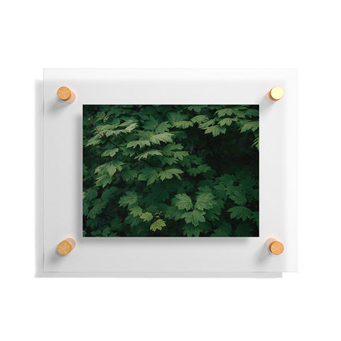 Hannah Kemp Some Green Floating Acrylic Print