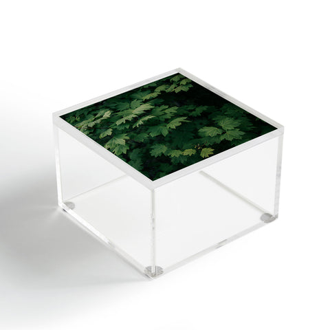 Hannah Kemp Some Green Acrylic Box