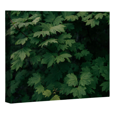 Hannah Kemp Some Green Art Canvas