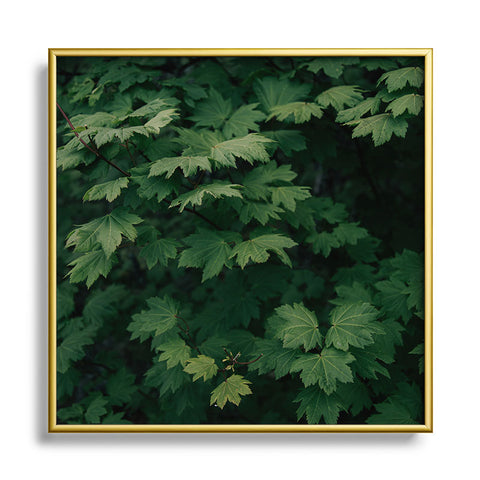 Hannah Kemp Some Green Square Metal Framed Art Print