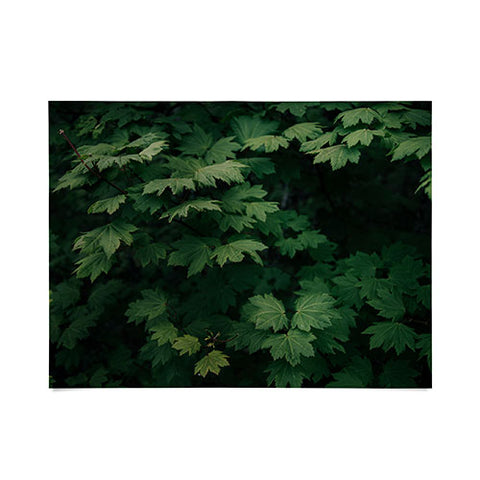 Hannah Kemp Some Green Poster