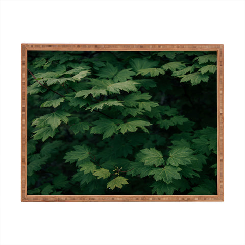 Hannah Kemp Some Green Rectangular Tray