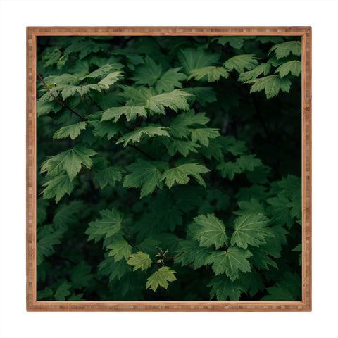 Hannah Kemp Some Green Square Tray