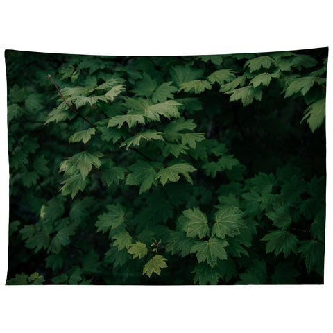 Hannah Kemp Some Green Tapestry