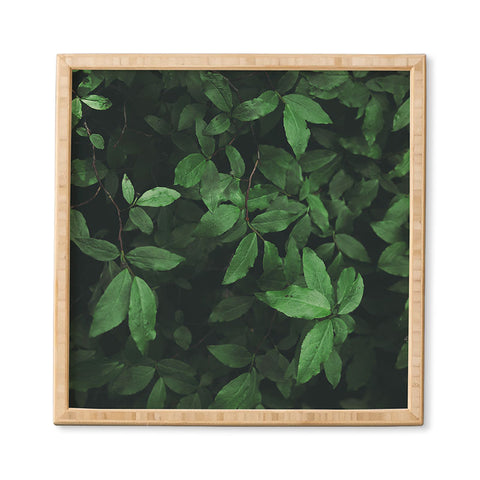 Hannah Kemp Some Greenery Framed Wall Art