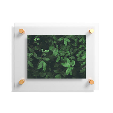 Hannah Kemp Some Greenery Floating Acrylic Print
