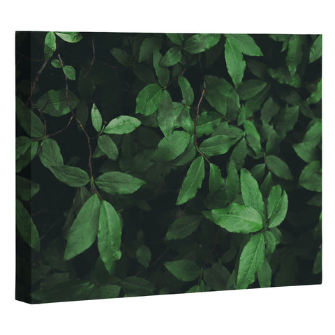 Hannah Kemp Some Greenery Art Canvas