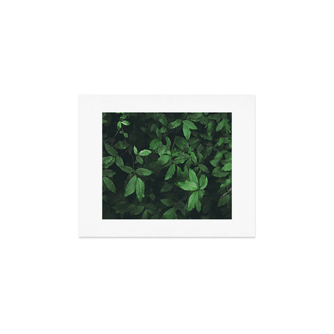 Hannah Kemp Some Greenery Art Print