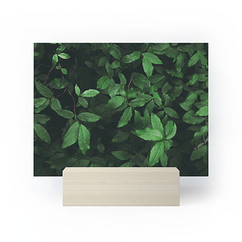 Hannah Kemp Some Greenery Mini Art Print