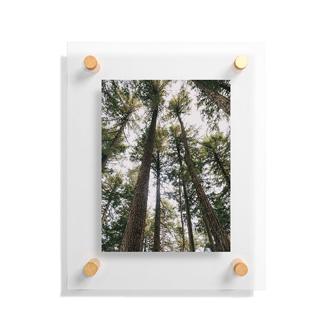 Hannah Kemp Some Trees Floating Acrylic Print