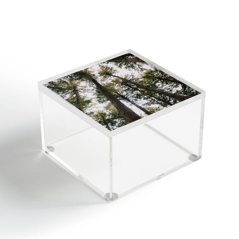 Hannah Kemp Some Trees Acrylic Box