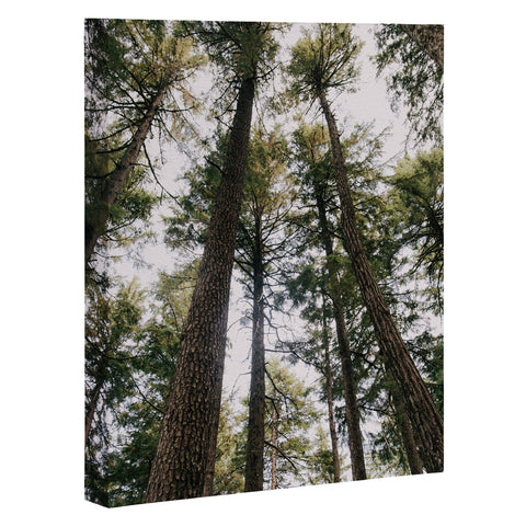 Hannah Kemp Some Trees Art Canvas