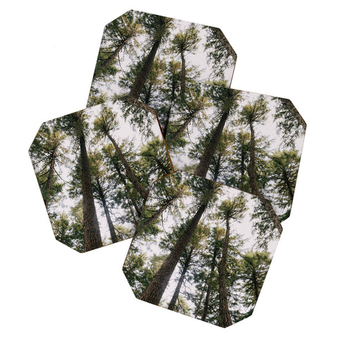 Hannah Kemp Some Trees Coaster Set
