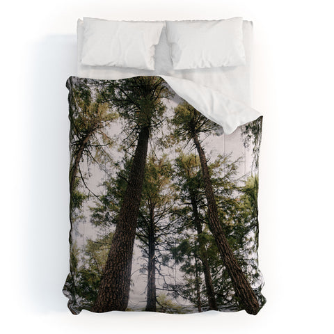 Hannah Kemp Some Trees Comforter