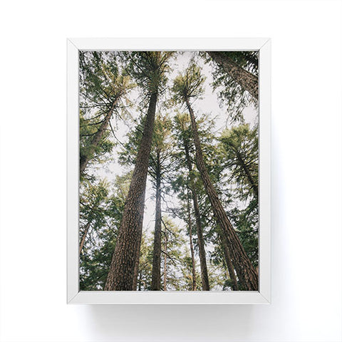 Hannah Kemp Some Trees Framed Mini Art Print