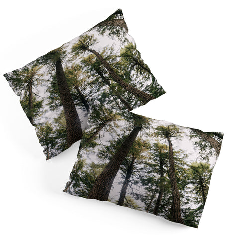 Hannah Kemp Some Trees Pillow Shams
