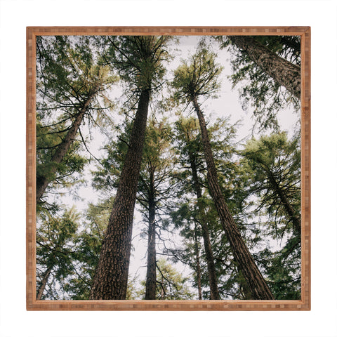 Hannah Kemp Some Trees Square Tray