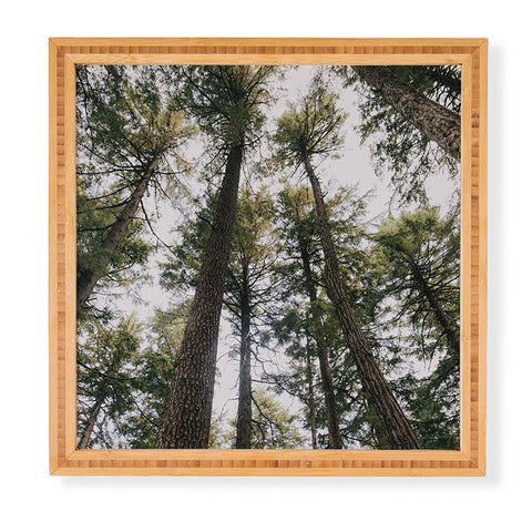 Hannah Kemp Some Trees Framed Wall Art