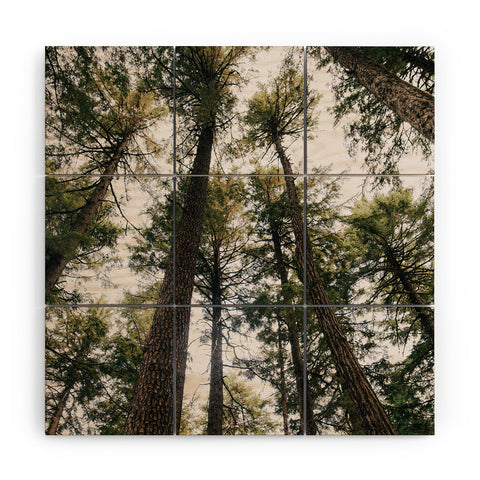 Hannah Kemp Some Trees Wood Wall Mural