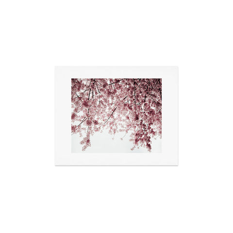 Hannah Kemp Spring Cherry Blossoms Art Print