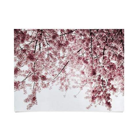 Hannah Kemp Spring Cherry Blossoms Poster