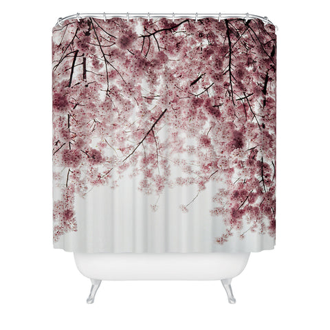 Hannah Kemp Spring Cherry Blossoms Shower Curtain