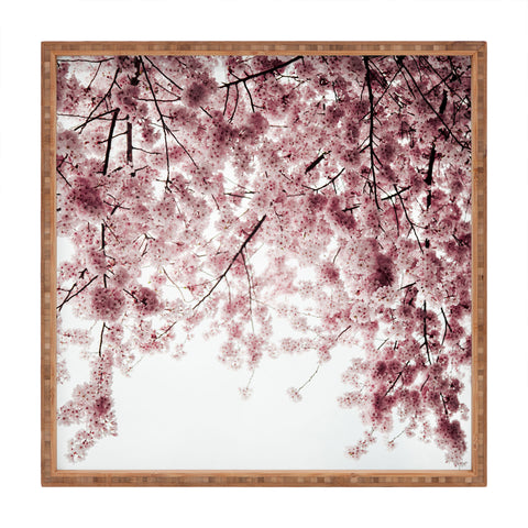 Hannah Kemp Spring Cherry Blossoms Square Tray