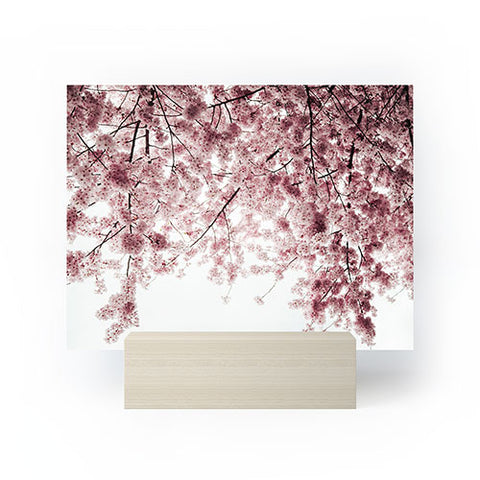 Hannah Kemp Spring Cherry Blossoms Mini Art Print