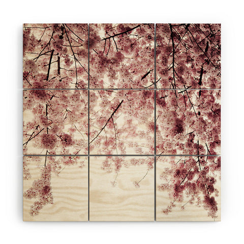 Hannah Kemp Spring Cherry Blossoms Wood Wall Mural