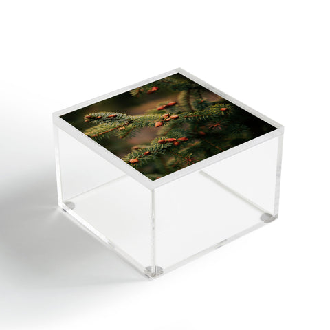 Hannah Kemp Spruce Tips Acrylic Box