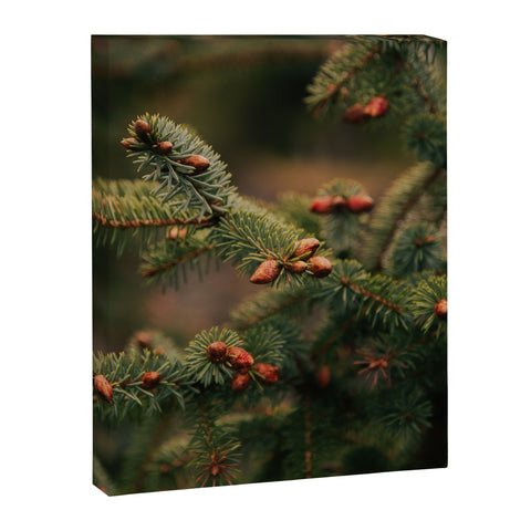 Hannah Kemp Spruce Tips Art Canvas
