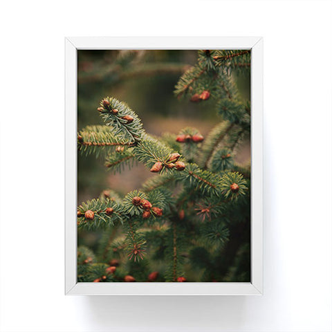 Hannah Kemp Spruce Tips Framed Mini Art Print