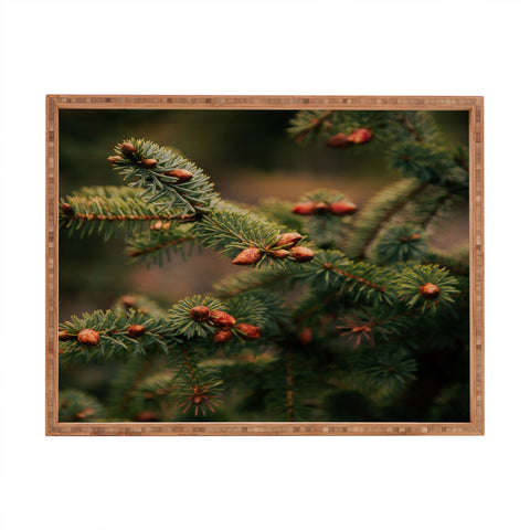 Hannah Kemp Spruce Tips Rectangular Tray