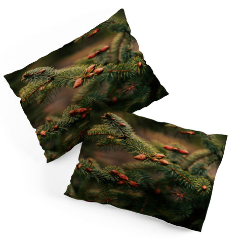 Hannah Kemp Spruce Tips Pillow Shams