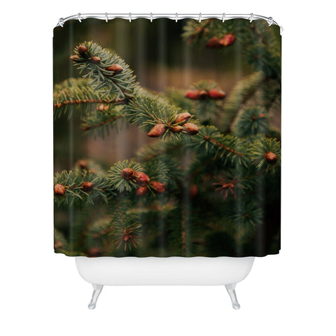 Hannah Kemp Spruce Tips Shower Curtain