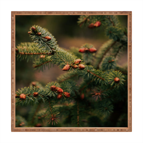 Hannah Kemp Spruce Tips Square Tray