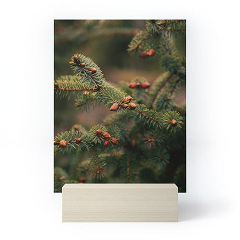 Hannah Kemp Spruce Tips Mini Art Print