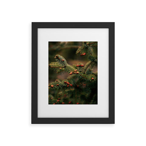 Hannah Kemp Spruce Tips Framed Art Print