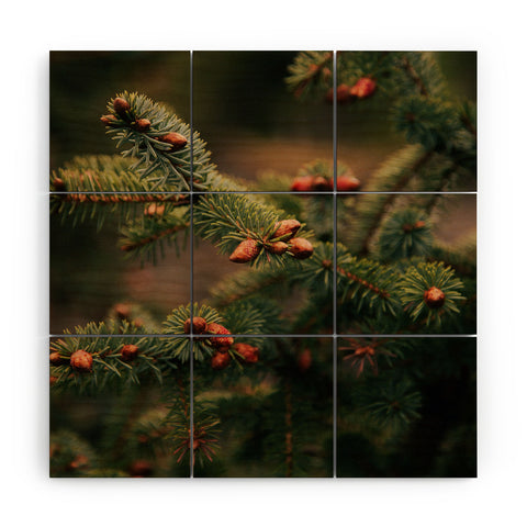 Hannah Kemp Spruce Tips Wood Wall Mural
