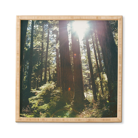 Hannah Kemp Sunny Forest Framed Wall Art