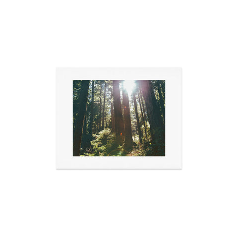 Hannah Kemp Sunny Forest Art Print