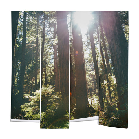 Hannah Kemp Sunny Forest Wall Mural