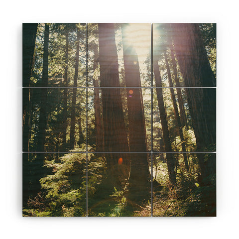 Hannah Kemp Sunny Forest Wood Wall Mural