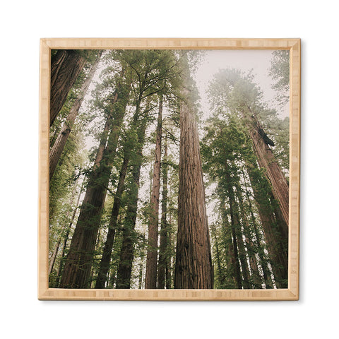 Hannah Kemp Tall Trees Framed Wall Art