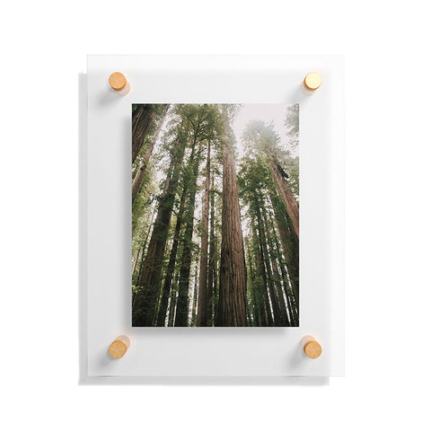 Hannah Kemp Tall Trees Floating Acrylic Print